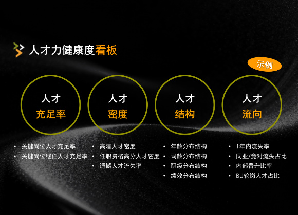 人才力健康度汇报