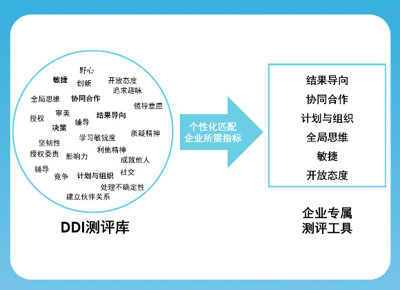 定制测评