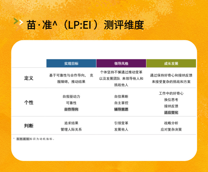 苗准测评维度