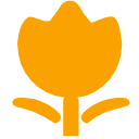 年度能力培养计划.png