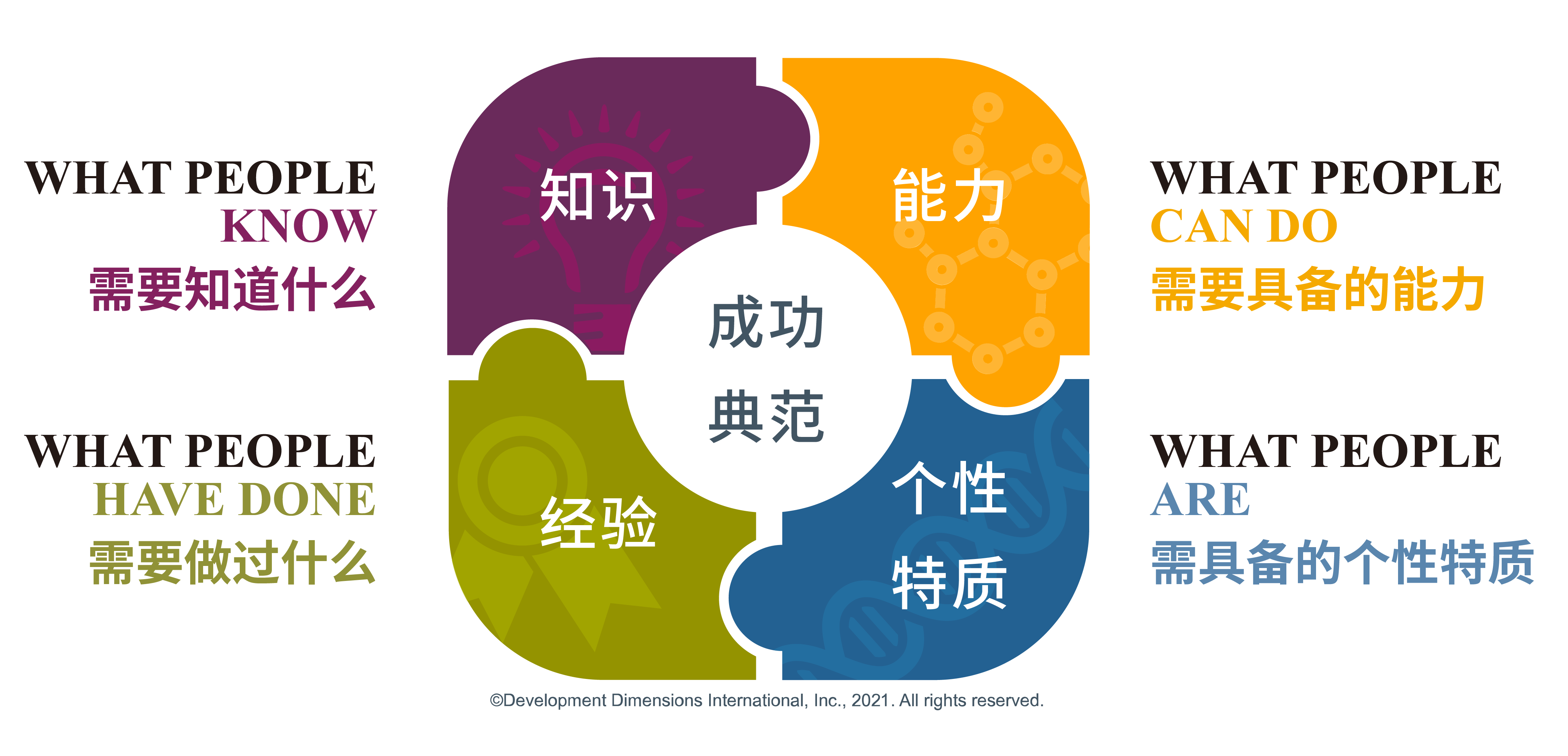 DDI成功典范模型：知识、能力、经验和个性特质
