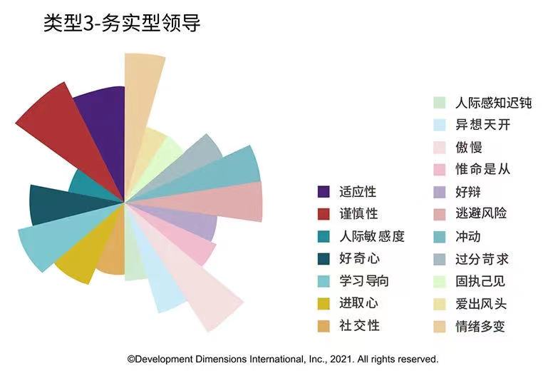 类型3-务实型领导.jpg