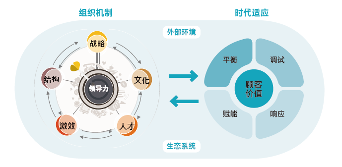 DDI组织力诊断模型：组织机制和外部因素