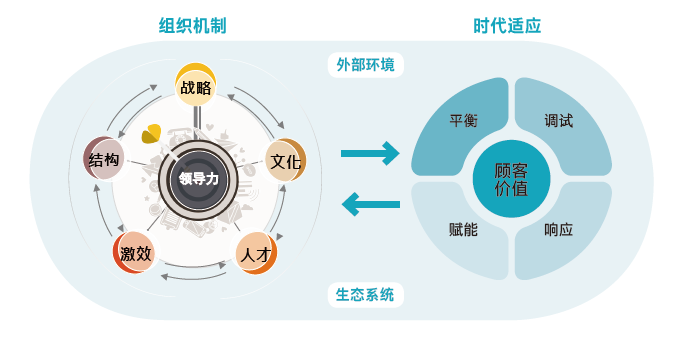 DDI组织力模型.png