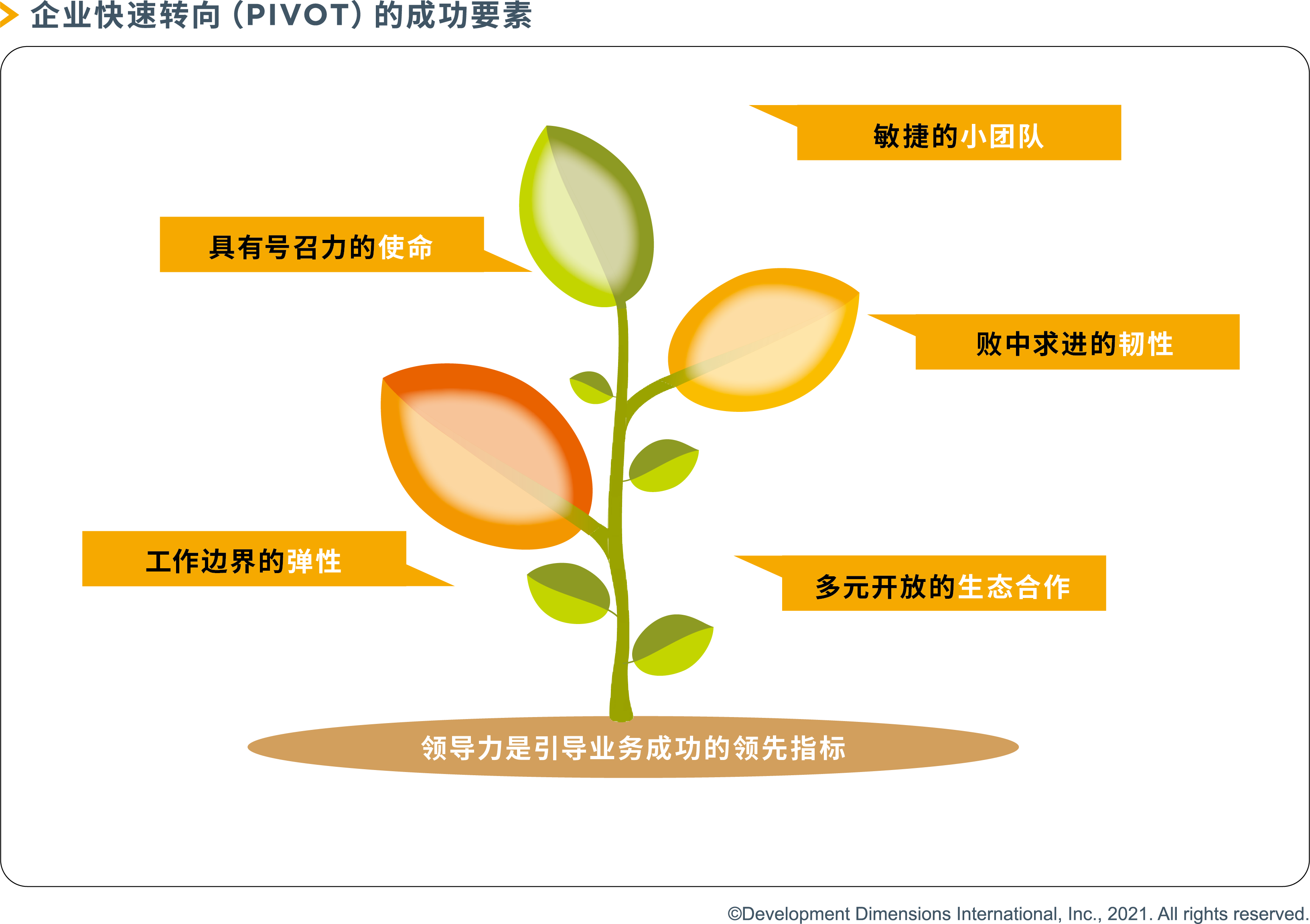 企业快速转向（PIVOT）的成功要素