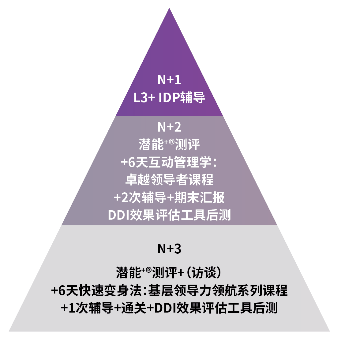 项目设计总览