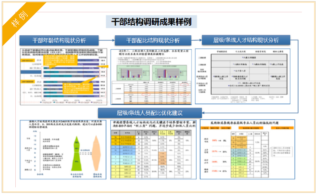 券商公司落地人才管理体系的干部结构调研结果样例