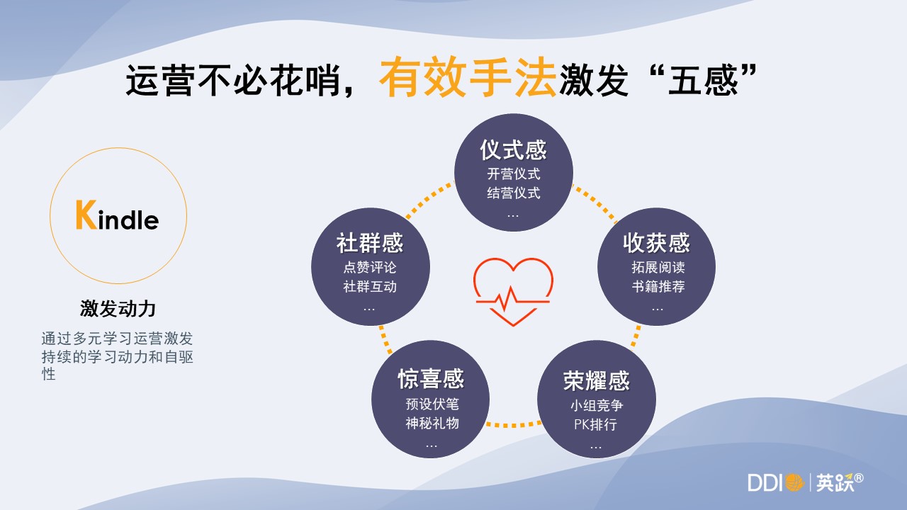 DDI学习运营