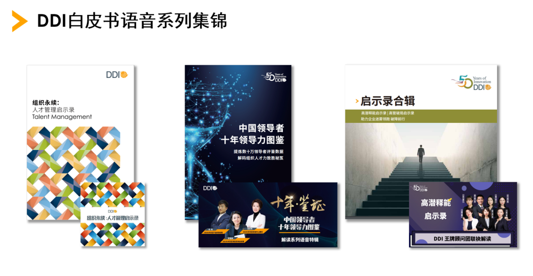 DDI知识派语音.png