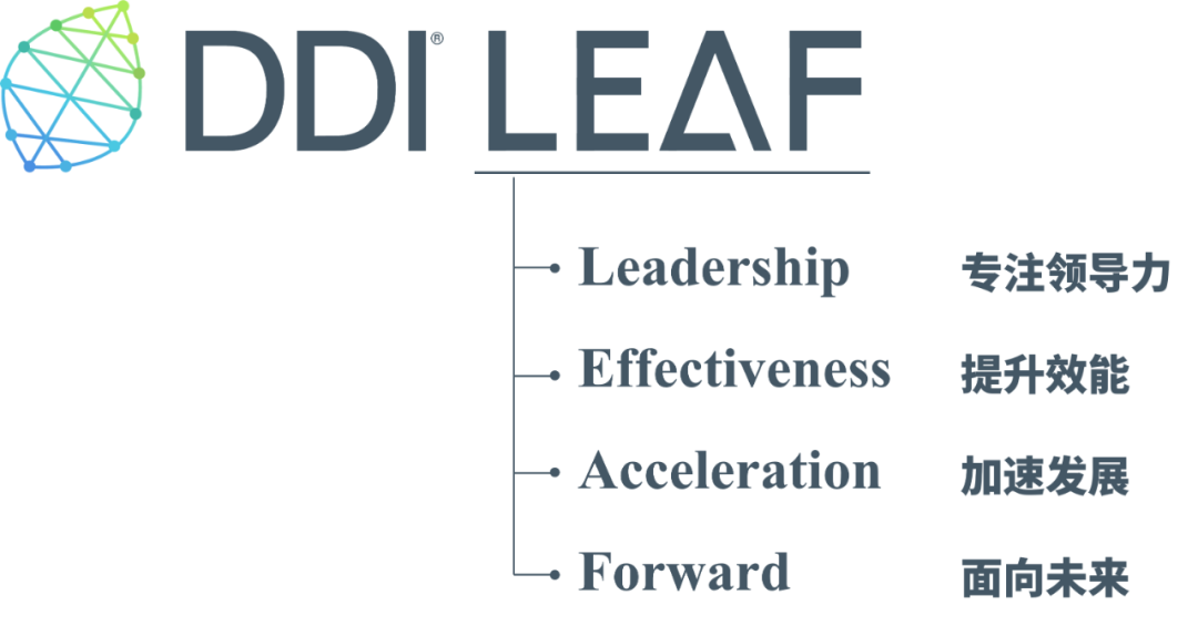 DDI LEAF价值释义.png