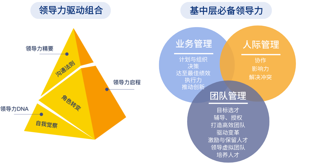 DDI英跃_课程体系.png DDI英跃_课程体系.png