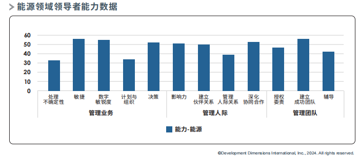 能源领域领导者能力数据.png