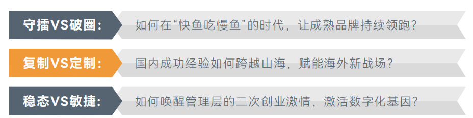 全球化过程的挑战.png