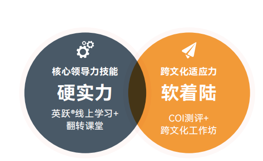 硬实力与软着陆.png